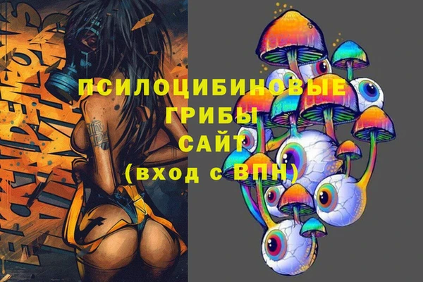 стаф Верхний Тагил