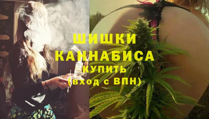 Канабис OG Kush  Кизляр 